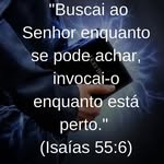 Flávio Muniz - @flavio.muniz.3998 - Instagram