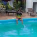 Flavio Ribeiro - Facebook