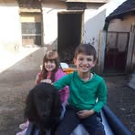 Flavius Laviniu Cucu - Facebook