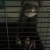 fleet foxes lover - @nevergoinbackagain - TikTok