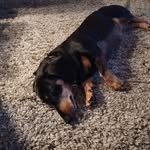 Flemming Petersen - @petersenflemming132 - Instagram