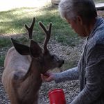 Mary Fleming Cox - @marycox952 - Instagram