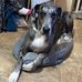 Fletch Fletcher - Facebook