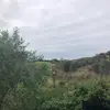 Fletcher Adams - @fletcher.adams4 - TikTok