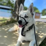 Fletcher Allen - @foxyfletcher - Instagram