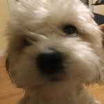 Fletcher Anderson - @fletcheranderson1 - Instagram