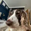 fletcherandrews89 - @opsyzx - TikTok