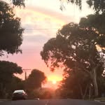 Fletcher Atkinson - @fletcher7345 - Instagram