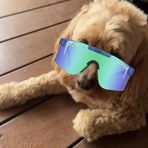 Fletcher Ball - Facebook