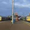 fletcherbartlett8 - @fletcherbartlett8 - TikTok