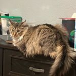 Bean Fletcher - @bean.fletcher.21 - Instagram