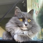 Fletcher Bean - @thats.sofletch - Instagram