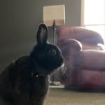 Fletcher Bean - @fletcher_beannnnn - Instagram