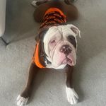 Fletcher bean - @bean_o11 - Instagram