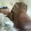 fletcher bergeson - @fletcher.bergeson - TikTok