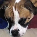 Fletcher - @fletcherbishopisnot - Instagram