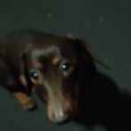 Fletcher Black - Facebook