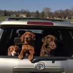 Fletcher Boone - Facebook