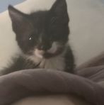 Fletcher Boyle - Facebook