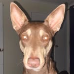 Fletcher Ebsworth-Briggs - @boondi_eb7 - Instagram