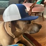 Fletcher Bryant - @fletcherbryant17105 - Instagram