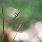 Fletcher Bryant - Facebook
