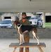 Fletcher Clark - Facebook