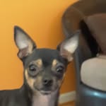Bambi Fletcher Coleman - @bambicoleman8 - Instagram