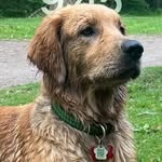 Lynn Curry - @lynnfletchercurry - Instagram