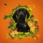 Fletcher Bartholomew Dixon - @fletch_the_catch17 - Instagram