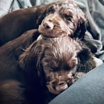 Fletcher Cole & Macon Dixon - @fletcher_macon_boykinbros - Instagram