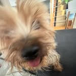 Fletcher dotson - @dotson_fletcher - Instagram