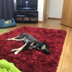 Fletcher Doyle-Rotch - @fletcherdr30 - Instagram