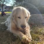 Fletcher Booboolidoos Dyer - @fletcherdyer - Instagram