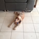 Fletcher Elliott - @fletcherelliott8030 - Instagram
