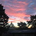 Cole Farley - Facebook