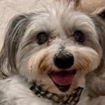 Farley From Down Under - @farley.fletcher - Instagram