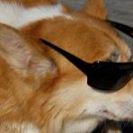 Fletcher Farley - Facebook