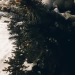 Ford Fletcher - @fordfletcher31 - Instagram