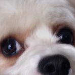 Fletcher Fuller - Facebook