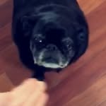 Fletcher Fuller - @fightforfletcher - Instagram