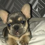 Fletcher Fuller - Facebook