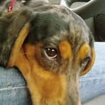 Dickey Fletcher-Garrison - Facebook
