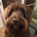 Fletcher Fox-Gray - @fletcherfoxgray - Instagram