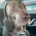 Fletcher Grayson - Facebook