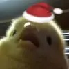 fletchergrow - @flooperdooper5 - TikTok