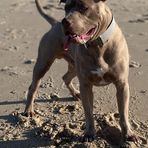 Fletcher Hamilton - Facebook