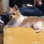 Fletcher Hancock - Facebook