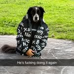 Fletcher Hancock - @fletcher_hancock_07 - Instagram