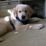 Fletcher Hart - @fletcher_da_non_fetcher - Instagram